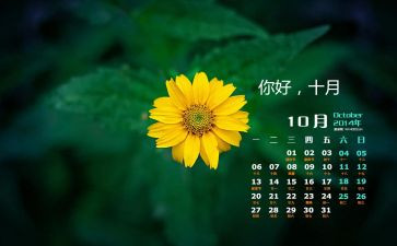 党10月活动总结精选5篇