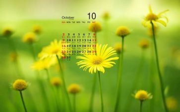10月爱国活动总结7篇