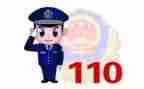 110主题党日活动总结7篇