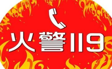 幼儿园小班119活动总结5篇