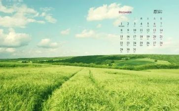 12月教师个人总结6篇