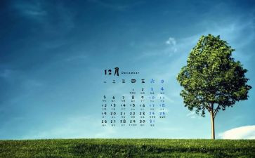 12月没工作总结5篇