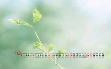 12月没工作总结模板6篇