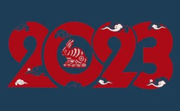 2023职业教师年度总结6篇