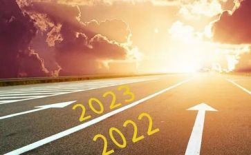 2023年局长个人总结8篇