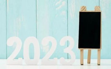 2023年公务员考核年度总结7篇