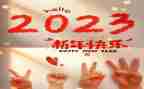 2023年镇平安建设工作总结6篇