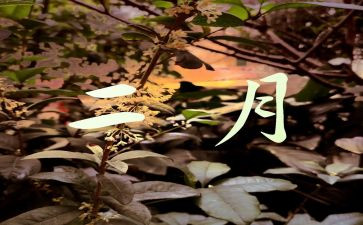 2022年2月个人总结5篇