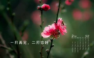 大班2月份工作计划6篇