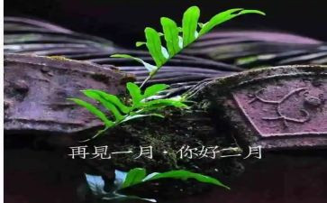 幼儿园大班下2月总结5篇