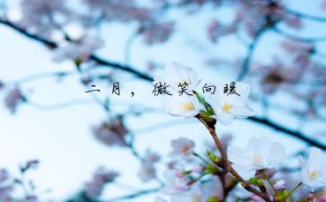 中班2月工作总结8篇