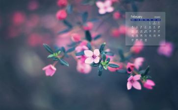 2月的工作总结7篇