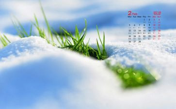 2月党月活动总结推荐7篇