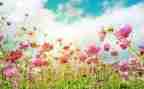 幼儿园小班教师3月份工作总结5篇