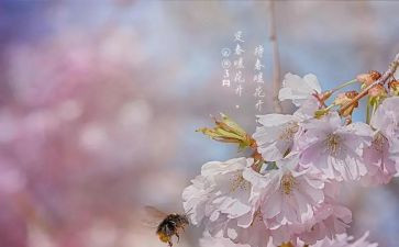 3月份教师工作总结6篇