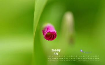 4月15日安全活动总结7篇