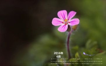 2022年4月安全总结7篇