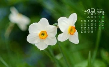 4月份大班工作总结6篇