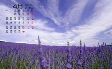 工程部4月度工作总结7篇
