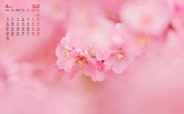 幼儿园大大班4月份工作计划7篇