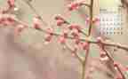 4月安全工作总结5篇