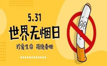 销售531个人总结6篇