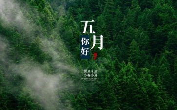 小学5月份的工作总结6篇