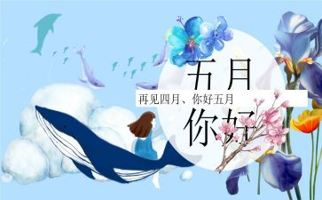 教师5月工作总结6篇
