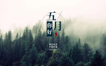 幼师第5月工作总结6篇