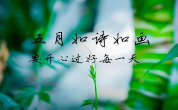 教师工作5月工作总结7篇