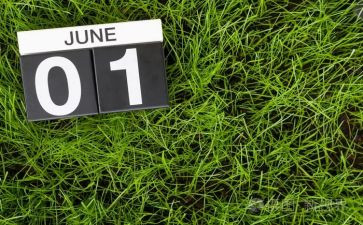 物业6月度工作总结范文8篇