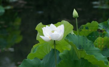 2022年6月份个人总结8篇