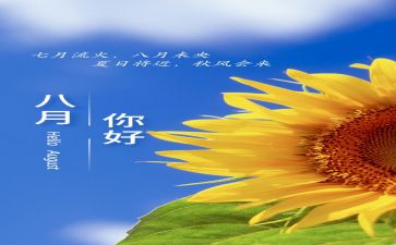 8月工作总结模板6篇