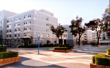 985大学校园活动方案7篇