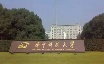 985大学生就业报告总结5篇