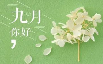 幼儿园9月的月总结8篇