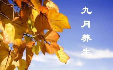 2024年幼儿园中班9月份工作总结6篇