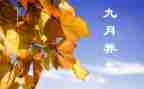 2024年幼儿园中班9月份工作总结6篇