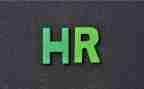 关于HR的工作总结5篇