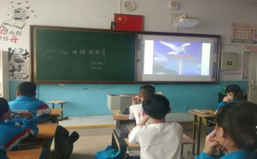 幼儿园班会课教案最新8篇