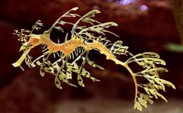 生物个人总结6篇