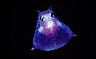 生物教师学期总结6篇