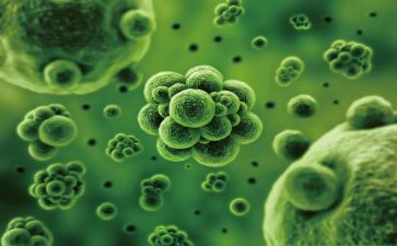 生物教师上学期工作总结6篇