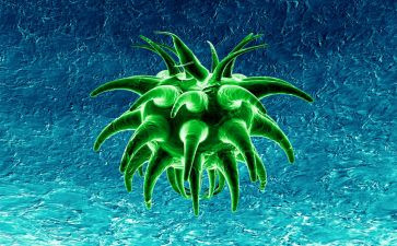 生物教师的个人总结通用6篇