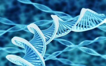 高中生物教师个人总结8篇