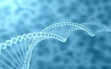 生物高三工作总结通用5篇