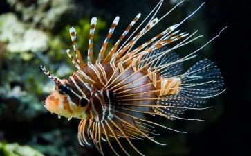 2022生物个人总结8篇
