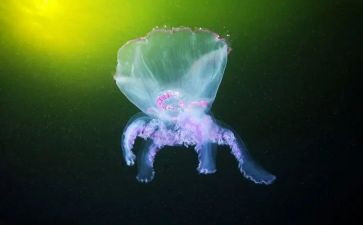 生物教师2022工作总结6篇