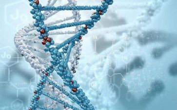 生物教师年度总结个人总结6篇