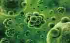 生物教师上学期工作总结6篇
